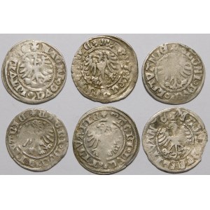 Alexander Jagiellonian, Vilnius half-penny - Gothic and Renaissance - set (pcs. 6)