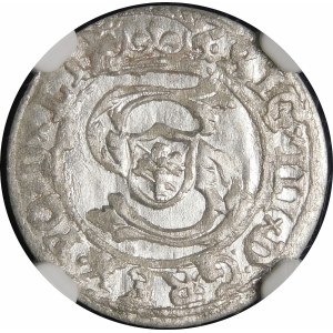 Zygmunt III Waza, Szeląg 1599, Ryga - piękny
