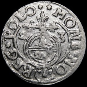 Zygmunt III Waza, Półtorak 1623, Bydgoszcz - Sas w tarczy owalnej - gwiazdki