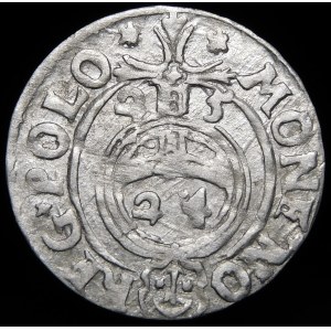 Zygmunt III Waza, Półtorak 1625, Bydgoszcz - Sas w tarczy ozdobnej