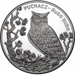 20 złotych 2005 Puchacz