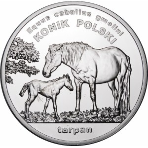 20 or 2014 Konik Polski