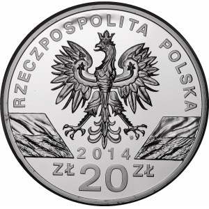 20 or 2014 Konik Polski