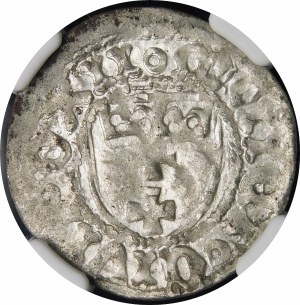 Casimir IV Jagiellonian, the Gdansk Shelly - beautiful