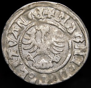 Alexander Jagiellonian, Vilnius half-penny - Renaissance - 7th issue - variant