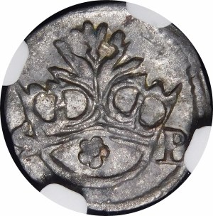 Sigismund I the Old, Denarius without date, Cracow - S-P