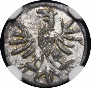 Sigismund I the Old, Denarius without date, Cracow - S-P