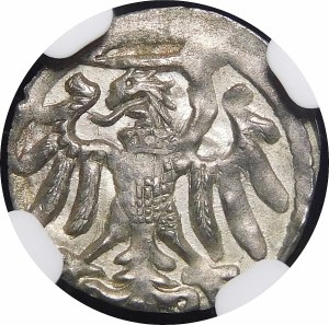 Sigismund I the Old, Denarius without date, Elblag - beautiful
