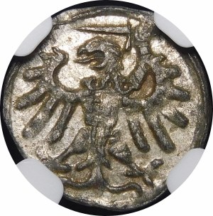 Sigismund I the Old, Denarius without date, Gdansk - M-S - beautiful