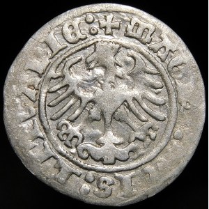 Zygmunt I Stary, Półgrosz 1513, Wilno - dwukropki