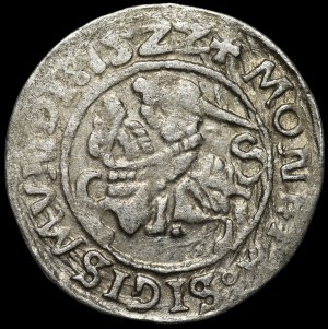 Sigismund I the Old, Half-penny 1522, Vilnius - quadruple-stamped LITVA/NNIE - rare