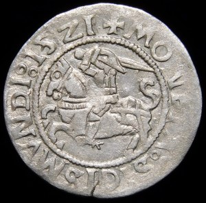 Sigismund I the Old, Half-penny 1521, Vilnius - no mark, quadruped - rare