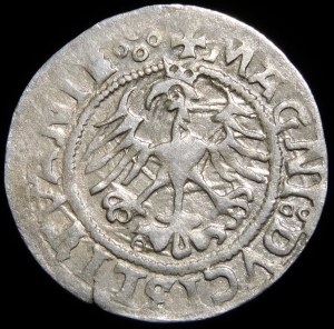 Sigismund I the Old, Half-penny 1521, Vilnius - no mark, quadruped - rare