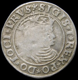 Sigismund I the Old, Penny 1531, Torun - variation