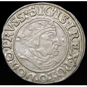 Zygmunt I Stary, Grosz 1538, Gdańsk - PRVSS