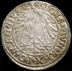 Sigismund II Augustus, Half-penny 1547, Vilnius - LI/LITVA