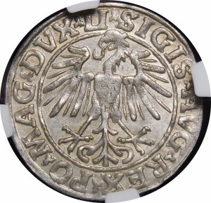 Sigismund II Augustus, Half-penny 1548, Vilnius - Roman I, LI/LITVA - beautiful