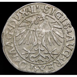 Sigismund II Augustus, Half-penny 1548, Vilnius - Arabic 1, LI/LITVA