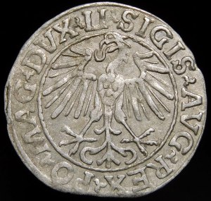 Sigismund II Augustus, Half-penny 1548, Vilnius - Arabic 1, LI/LITVA