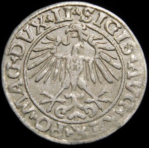 Sigismund II Augustus, Half-penny 1550, Vilnius - LI/LITVA - beautiful