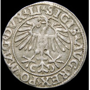 Zygmunt II August, Półgrosz 1551, Wilno - LI/LITVA