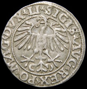 Sigismund II Augustus, Half-penny 1551, Vilnius - LI/LITVA