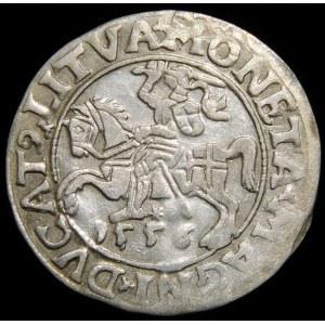 Zygmunt II August, Półgrosz 1556, Wilno - LI/LITVA
