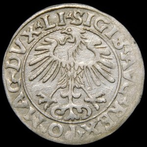 Sigismund II Augustus, Half-penny 1556, Vilnius - LI/LITVA