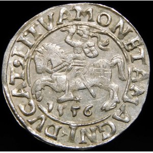 Zygmunt II August, Półgrosz 1556, Wilno - LI/LITVA - wariant - piękny