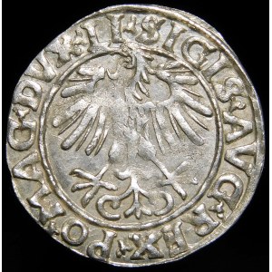 Zygmunt II August, Półgrosz 1556, Wilno - LI/LITVA - wariant - piękny