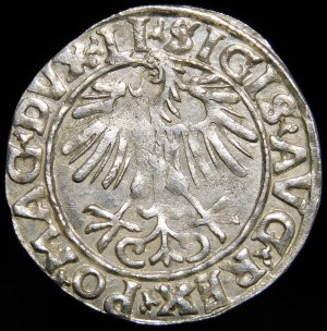 Sigismund II Augustus, Half-penny 1556, Vilnius - LI/LITVA - variant - beautiful