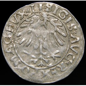 Zygmunt II August, Półgrosz 1556, Wilno - LI/LITVA - wariant