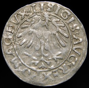 Sigismund II Augustus, Half-penny 1556, Vilnius - LI/LITVA - variant