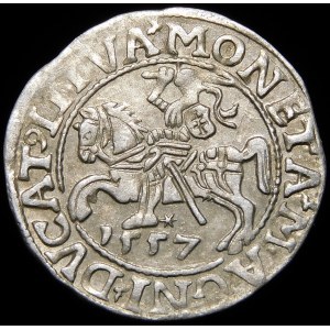 Zygmunt II August, Półgrosz 1557, Wilno - LI/LITVA - wariant