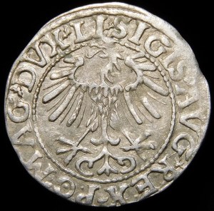 Sigismund II Augustus, Half-penny 1557, Vilnius - LI/LITVA - variant