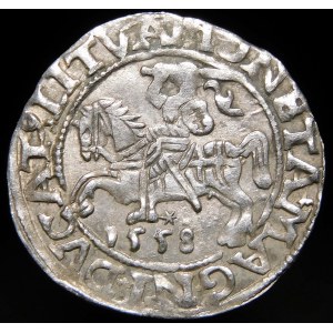 Zygmunt II August, Półgrosz 1558, Wilno - L/LITVA