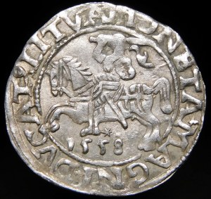 Sigismund II Augustus, Half-penny 1558, Vilnius - L/LITVA