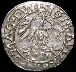Sigismund II Augustus, Half-penny 1558, Vilnius - L/LITVA