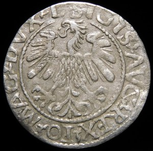 Sigismund II Augustus, Half-penny 1559, Vilnius - L/LITV