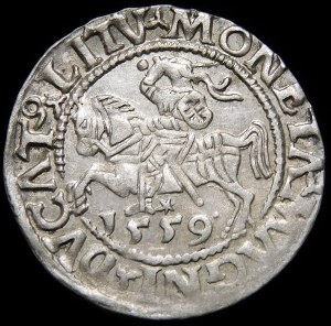 Sigismund II Augustus, Half-penny 1559, Vilnius - L/LITV - A without crossbar - rare