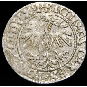 Zygmunt II August, Półgrosz 1559, Wilno - L/LITVA