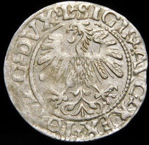 Sigismund II Augustus, Half-penny 1559, Vilnius - L/LITVA