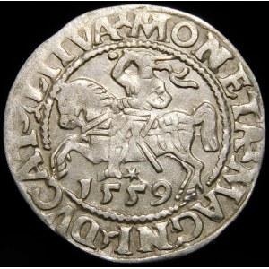 Zygmunt II August, Półgrosz 1559, Wilno - L/LITVA - A bez poprzeczki - rzadki