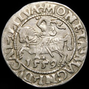 Sigismund II Augustus, Half-penny 1559, Vilnius - L/LITVA - A without crossbar - rare