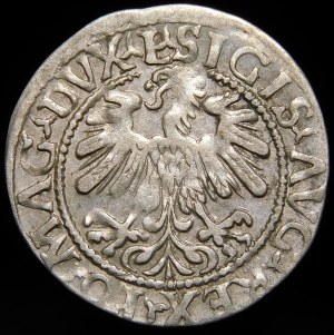 Sigismund II Augustus, Half-penny 1559, Vilnius - L/LITVA - A without crossbar - rare
