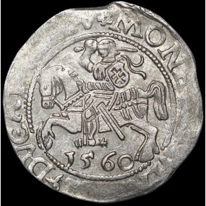 Zygmunt II August, Półgrosz 1560, Wilno - DVX L/LITV - 2 rozety - b. rzadki