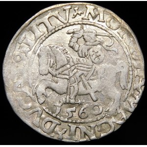 Sigismund II Augustus, Half-penny 1560, Vilnius - DVX L/LITV