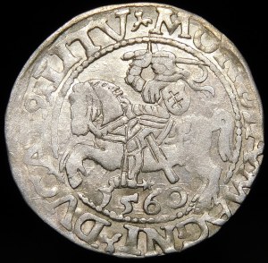 Sigismund II Augustus, Half-penny 1560, Vilnius - DVX L/LITV