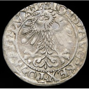 Sigismund II Augustus, Half-penny 1560, Vilnius - DVX L/LITV