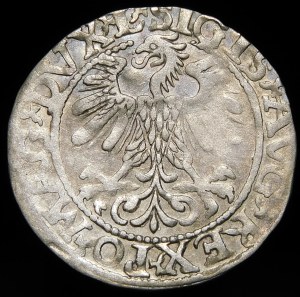 Sigismund II Augustus, Half-penny 1560, Vilnius - DVX L/LITV